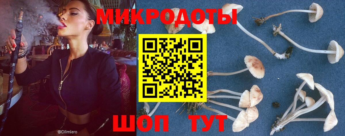 Галлюциногенные грибы мицелий  Вход с VPN  где можно купить наркотик  Черняховск 